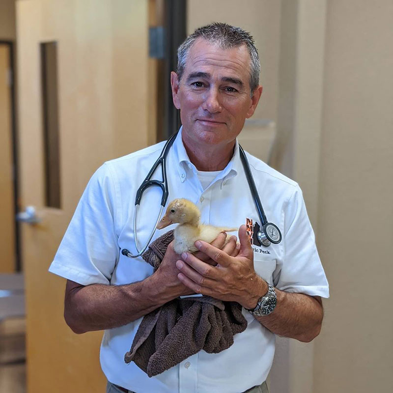 Veterinarian Appreciation COVID19 Essential Workers